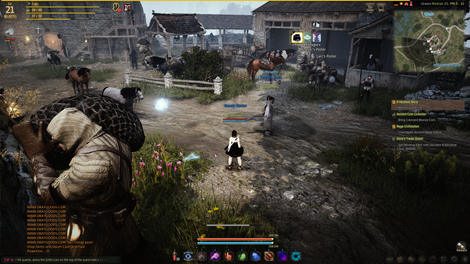 Illustration for article titled Black Desert Online: The TAY MMO Review